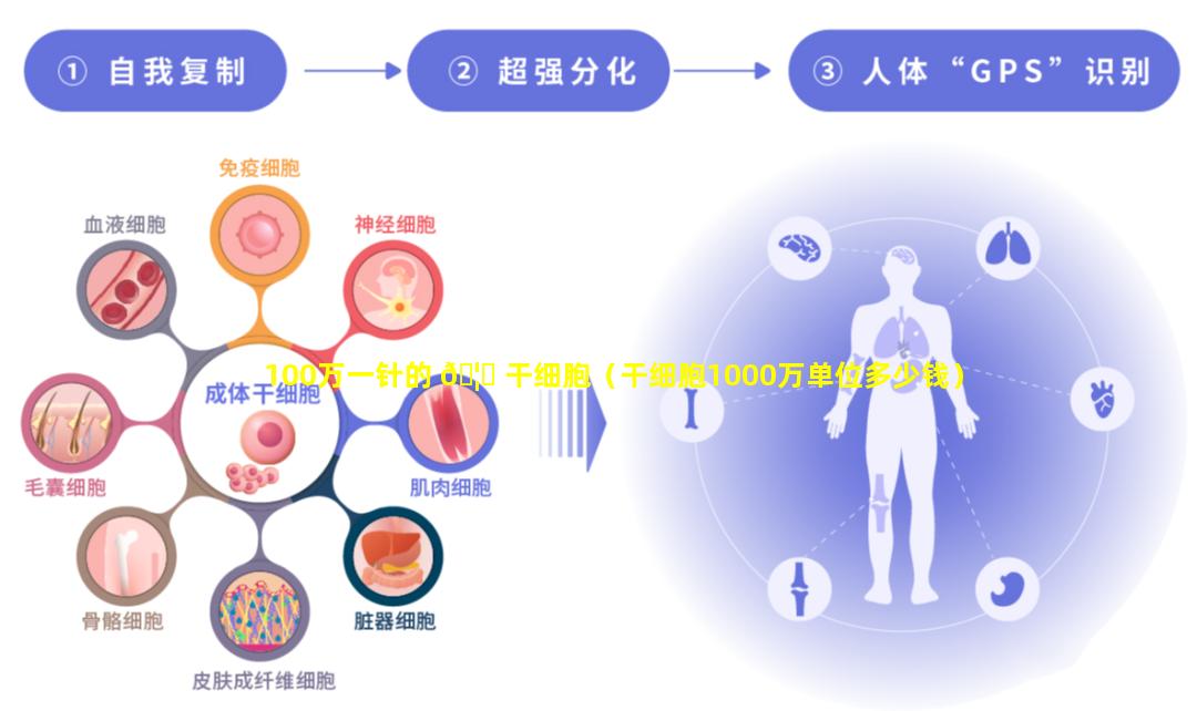 100万一针的 🦍 干细胞（干细胞1000万单位多少钱）